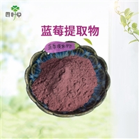 批发 蓝莓提取物 蓝莓粉