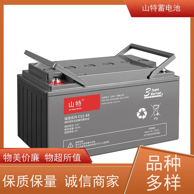 UPS电源电池 C12-250 适用EPS ups电源 质量保证 