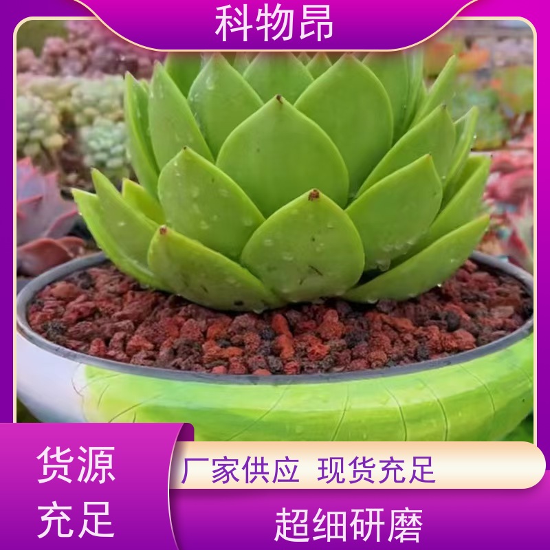 科物昂 墙体 火山岩花卉铺面石 颜色黑、红 接受代发