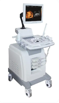 彩色多普勒超声诊断仪VISION 23ET厂家