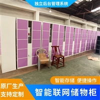 智能储物柜人脸微信扫码识别存放柜机场寄存柜车站旅客共享存包柜