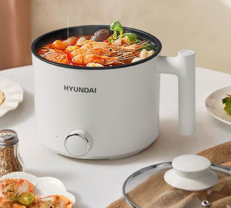 多功能电煮锅DZG-450C