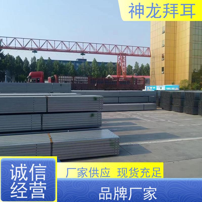 河北神龙拜耳 光伏支架多少钱一根 抗冲击 批发