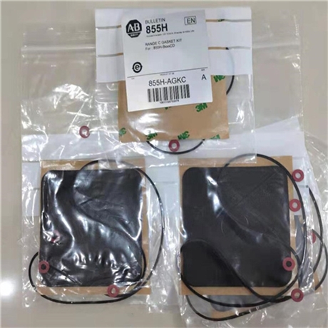 22BD4P0N104  AB低惯量伺服电机