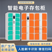共享电子存包柜自助景区超市游泳馆物品储物柜智能寄存柜厂家