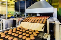 东莞供应HF220/320合成食品级齿轮油链条油