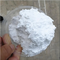 PA6粉 涂覆 浸塑 喷涂PA6粉末 细尼龙粉 纯树脂粉末