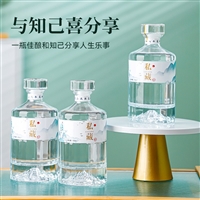 瑞宁定制批发500ml白酒瓶厚底高档酒瓶
