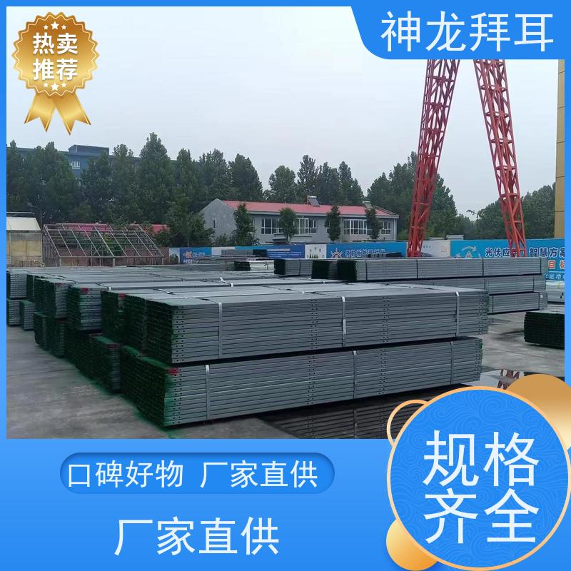 河北神龙拜耳 石家庄光伏支架厂家 稳定可靠 多少钱