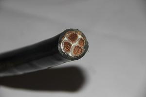 供应吉星牌YJV  3150低压电线电缆 电线电缆 厂家直销