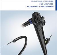 日本进口奥林巴斯GIF-H290T  电子上消化道内窥镜