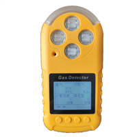 防爆气体检测仪