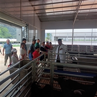 黑山羊肉有哪些营养价值