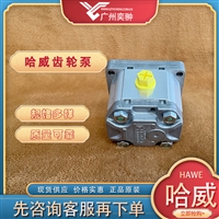 德国HAWE哈威Z 45齿轮泵原装进口Z系列