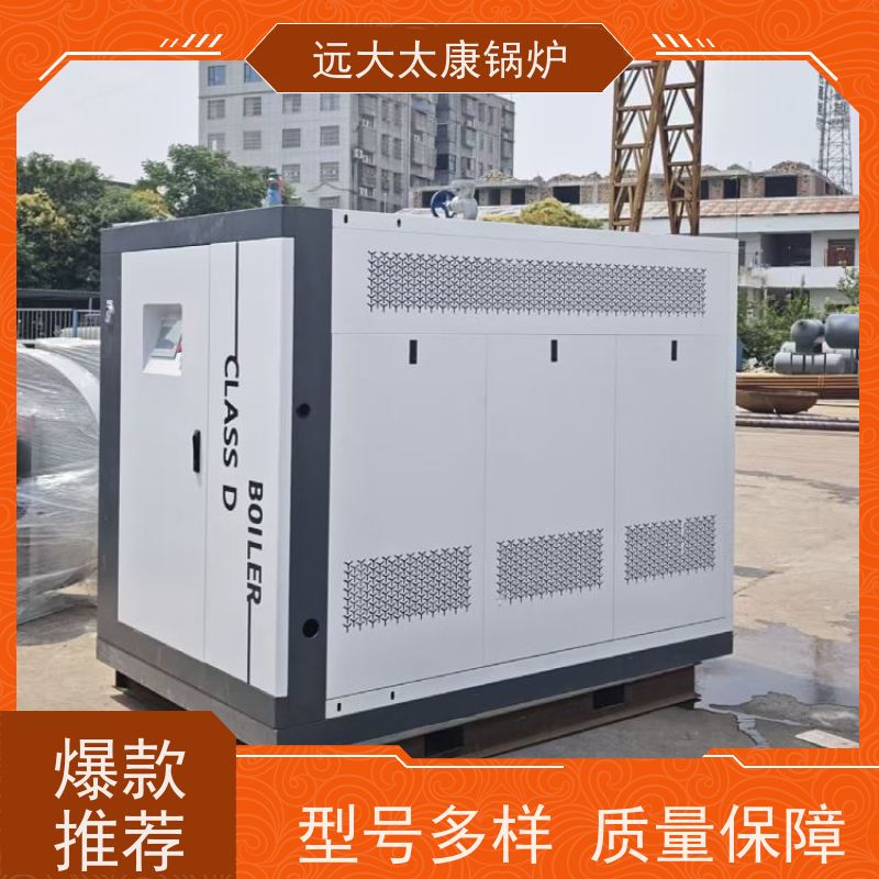 远大太康 豆制品加工 D级蒸汽锅炉 3吨用户免报检