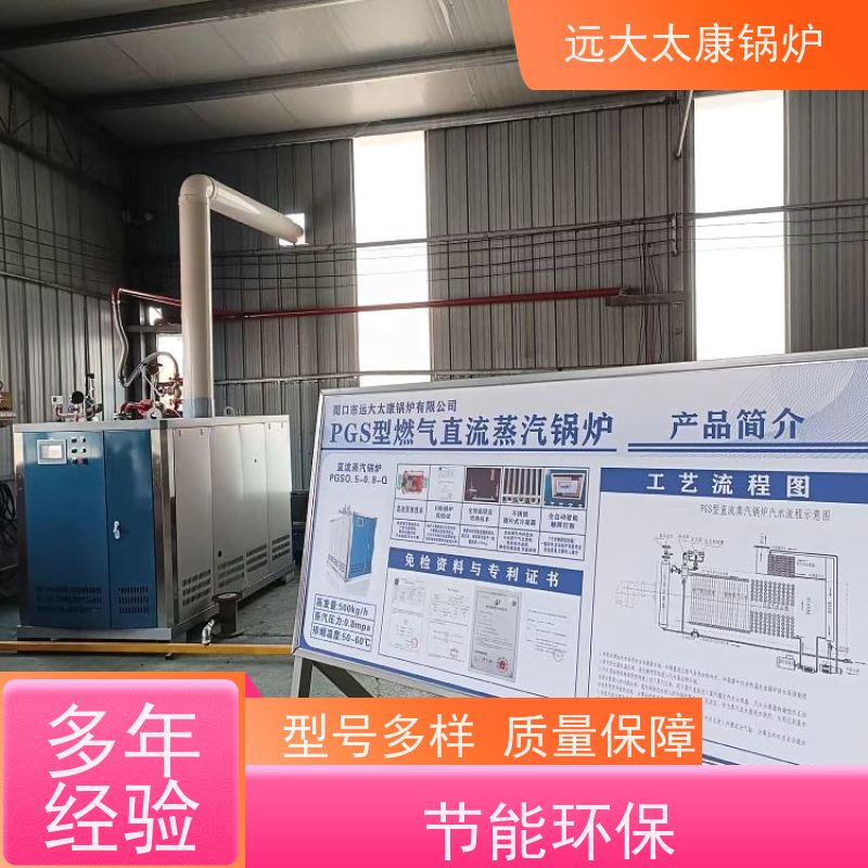远大太康 电镀 化工 d级锅炉  工业级设备免上户  容水量<50L