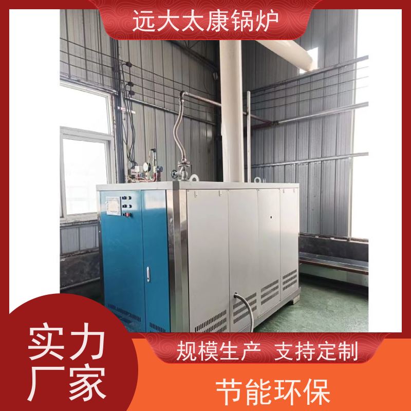 远大太康 5吨用户免报检 豆制品加工 D级蒸汽发生器