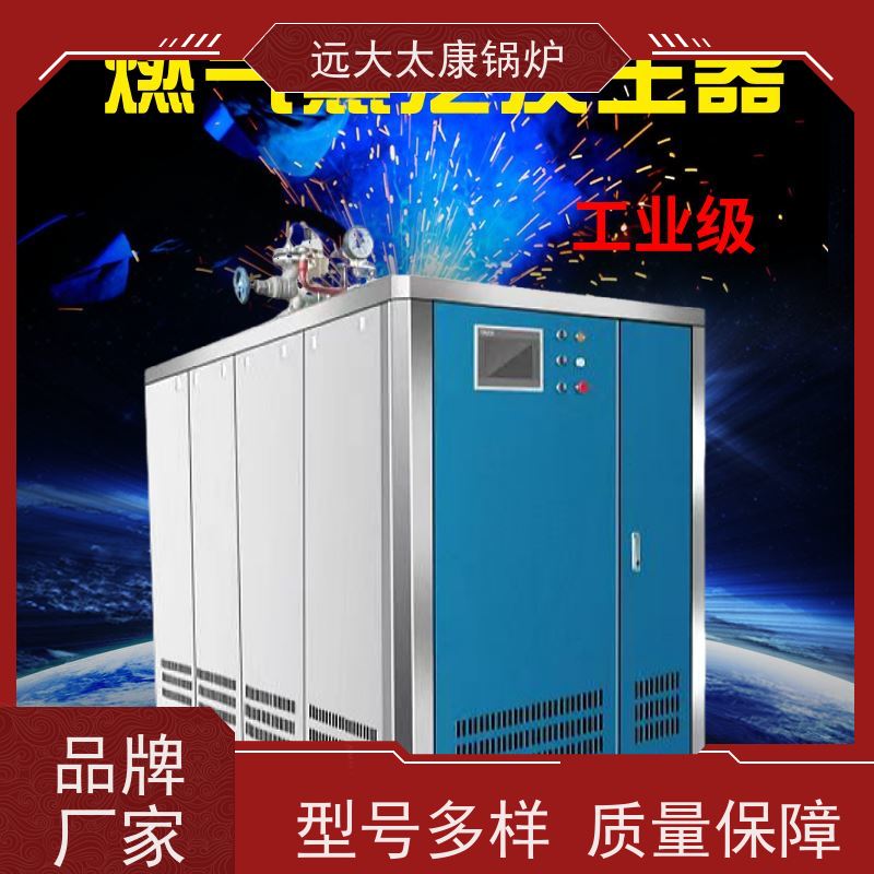 远大太康 食品加成 d级燃气蒸汽锅炉 2吨用户免报检