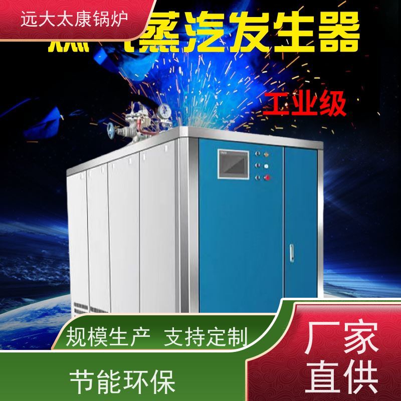 远大太康 0.5吨 用户免报检 电镀 化工 d级蒸汽发生器