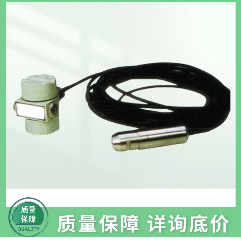 DPSH-A系列投入式防腐蚀液位变送器