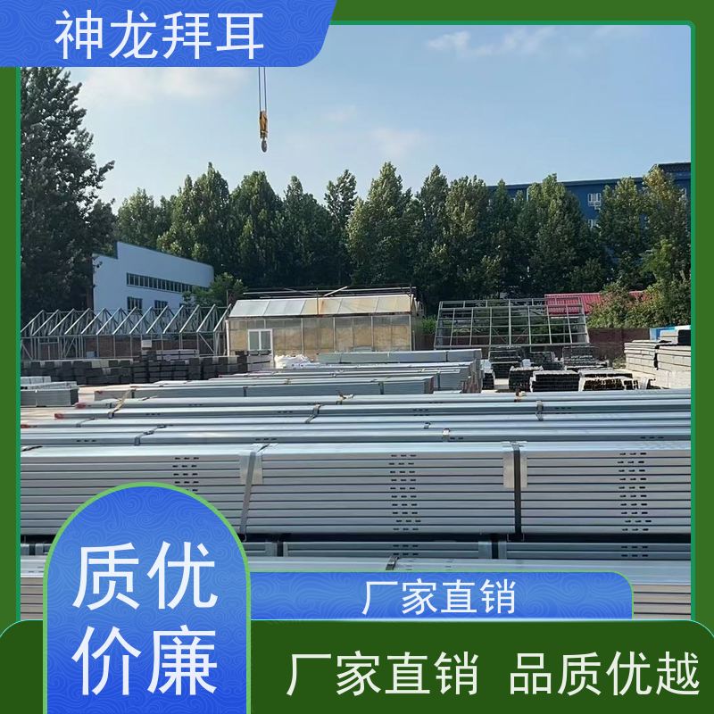 河北神龙拜耳 农业光伏支架 精准 生产厂家