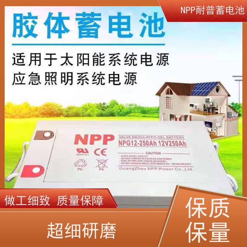 UPS电源电池 NPG12-200  铅酸胶体阀控式 华南区代理 
