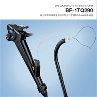 奥林巴斯治疗型电子支气管镜 BF-1TQ290