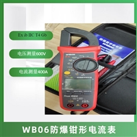 防爆钳形表WB06工作原理手持式