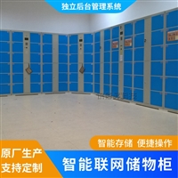 联网智能储物柜10.1寸微信扫码付费识别行李寄存柜酒吧存包柜厂家
