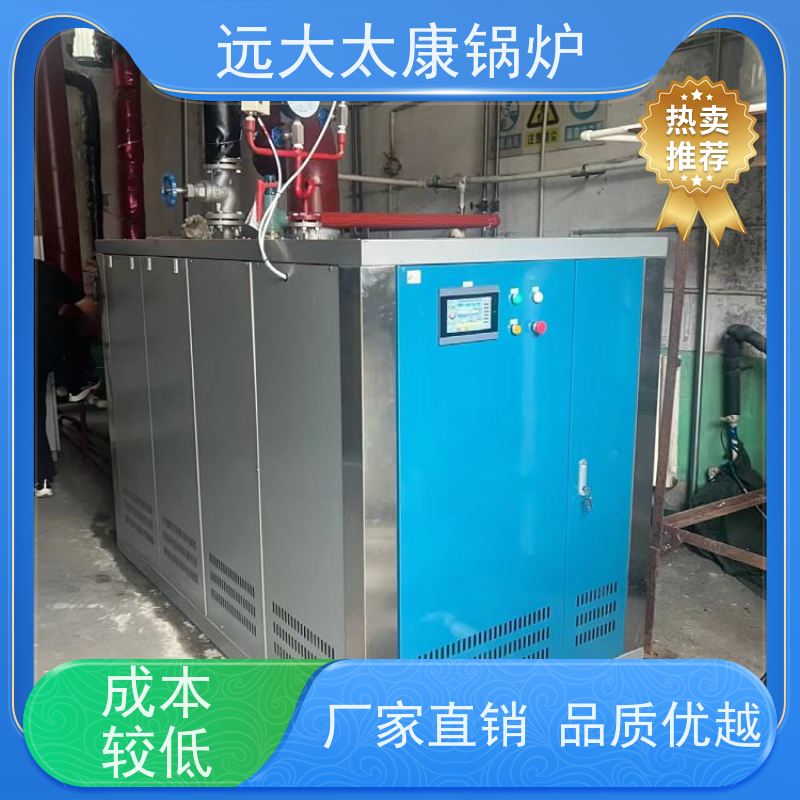 远大太康 3吨用户免报检 豆制品加工 D级蒸汽发生器