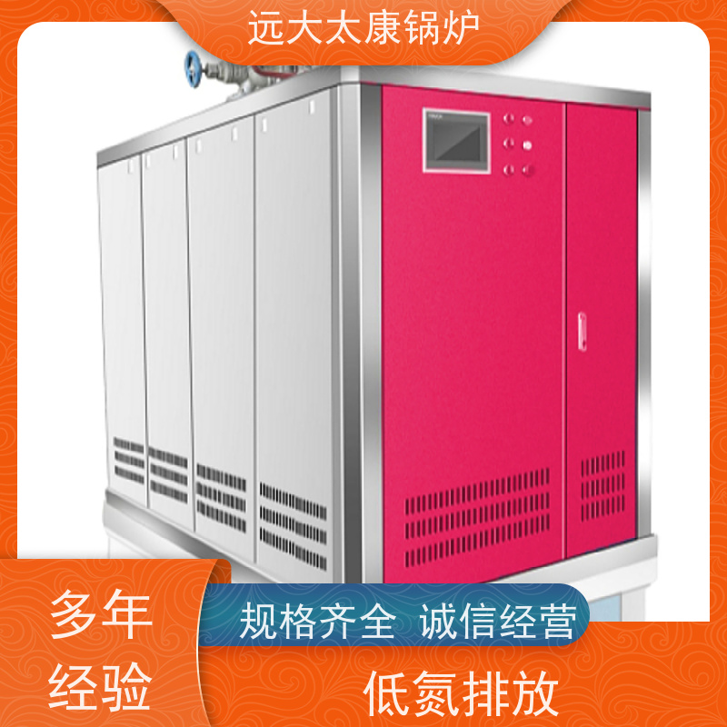 远大太康 无需办理锅炉使用证 豆制品加工 D级蒸汽发生器