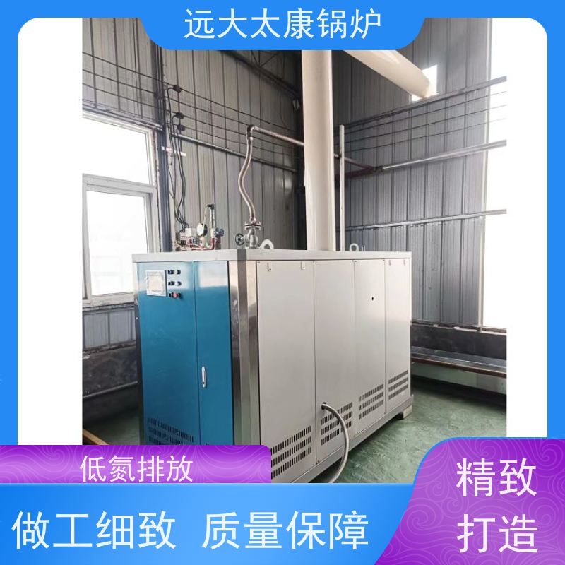 远大太康 0.5吨 用户免报检 豆制品加工 D级蒸汽锅炉