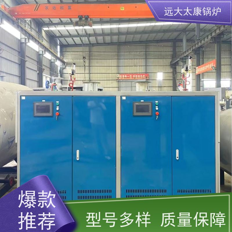 远大太康 豆制品加工 d级蒸汽锅炉 低氮冷凝 热效率高达98% 