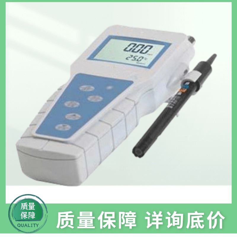 JPBJ-608便携式溶解氧分析仪，溶氧仪