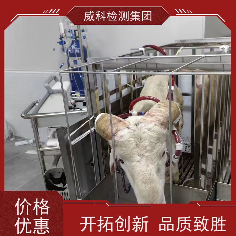 一次性气道导管麻醉联合包 生物学检测 医疗器械检测中心