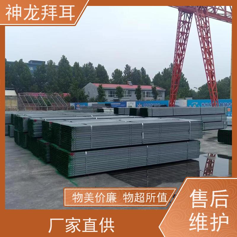 河北神龙拜耳 光伏支架集中式 沉浸式体验 公司