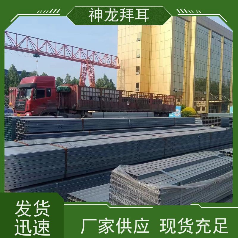 神龙拜耳 逆变器光伏支架 一站式解决方案 供应