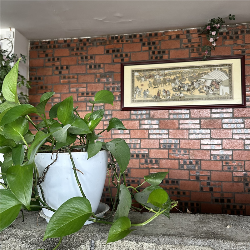 特色怀旧老砖贴片 红色碎拼石文化石 高粱红乱形蘑菇石