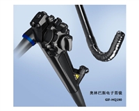 奥林巴斯电子上消化道内窥镜 GIF-HQ190
