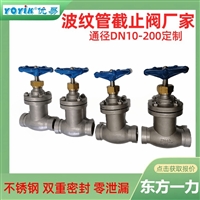 节流阀L41W-40P/20  电站专用（dongfang)