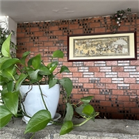 特色怀旧老砖贴片 红色碎拼石文化石 高粱红乱形蘑菇石