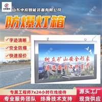 快速安装 防爆灯箱 即时固定 防爆灯箱 DHS12/12LC井下防爆灯箱