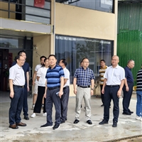 黑山羊羔羊的培育与护理要点