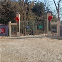 繁育场养殖改良黑山羊 毛发亮 健康 性情温顺繁育力强 饲养方便