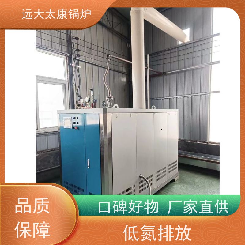 远大太康 豆制品加工 D级蒸汽发生器 工业级设备免上户  容水量＜50L