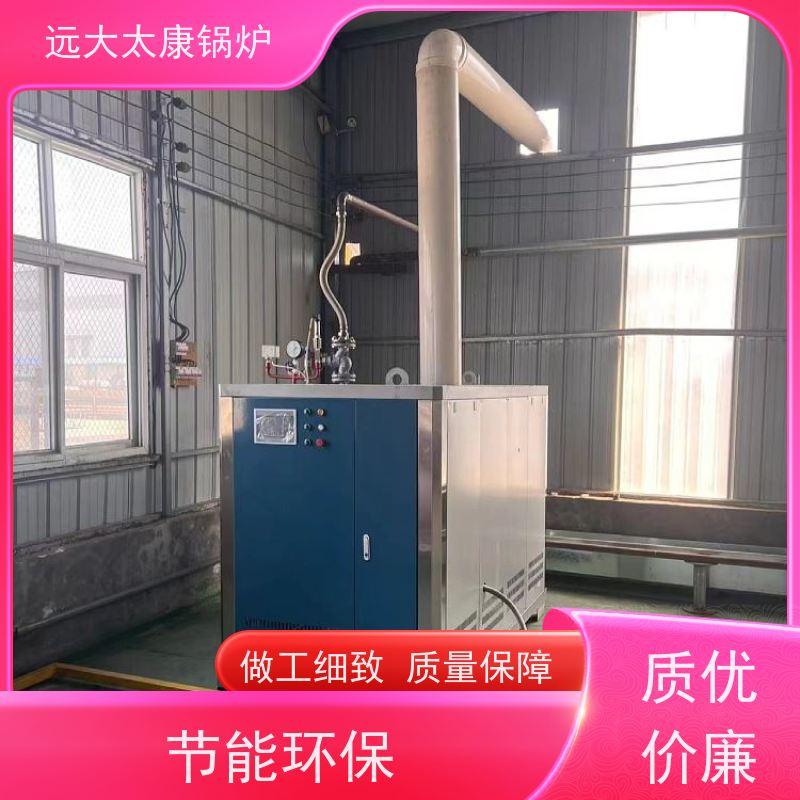 远大太康 2吨用户免报检 豆制品加工 D级燃气蒸汽锅炉