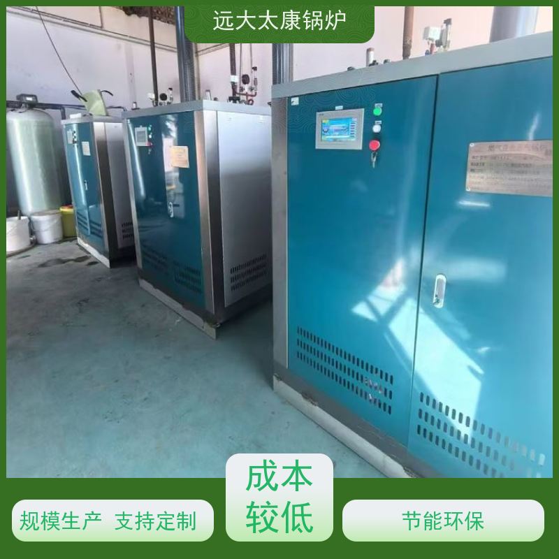 远大太康 豆制品加工 D级蒸汽锅炉 1吨 用户免报检