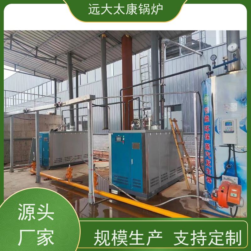 远大太康 1.5吨用户免报检 豆制品加工 D级锅炉 