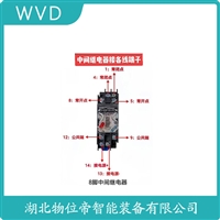 C9-R2x小型接口固态继电器 WVD