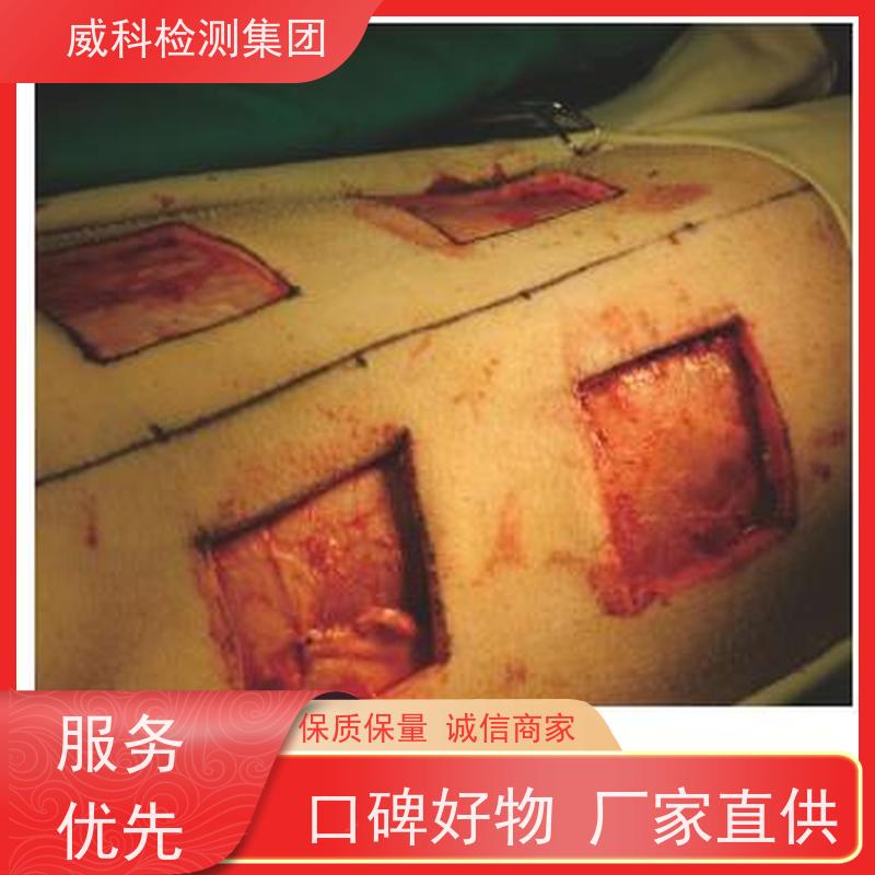 第三方测试 皮具检测 动物皮革物理性能检测 快速出具报告
